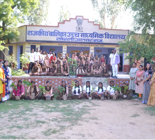 School Trees