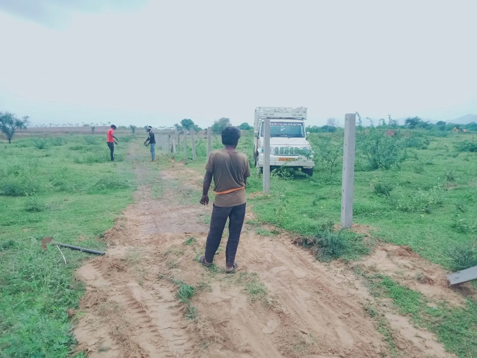 Glimpse Image